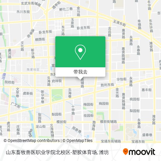 山东畜牧兽医职业学院北校区-塑胶体育场地图