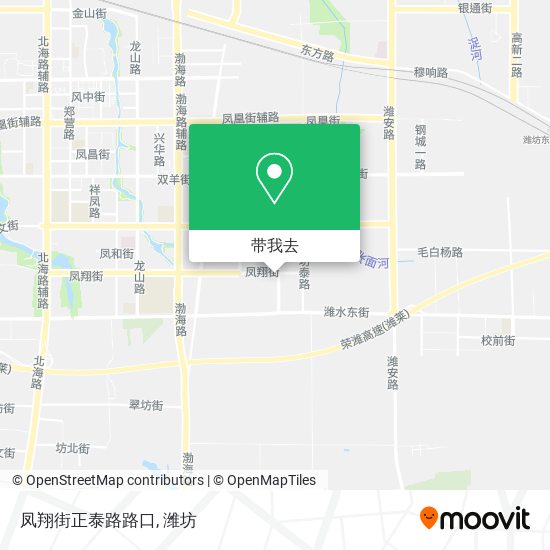 凤翔街正泰路路口地图