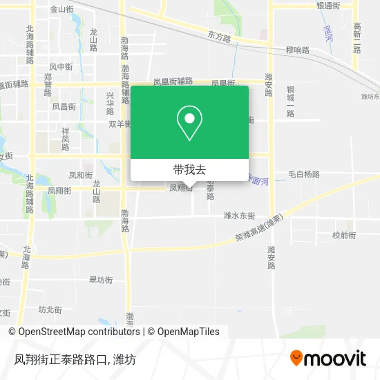 凤翔街正泰路路口地图