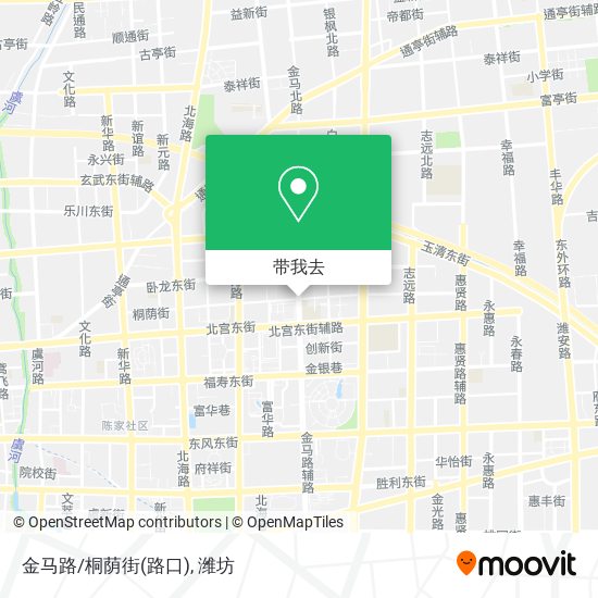 金马路/桐荫街(路口)地图