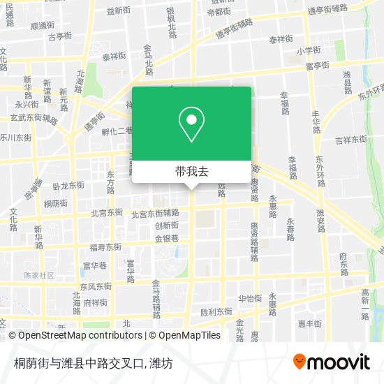 桐荫街与潍县中路交叉口地图