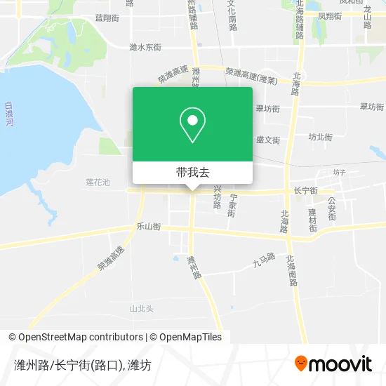 潍州路/长宁街(路口)地图