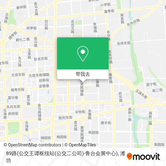 89路(公交王谭枢纽站(公交二公司)-鲁台会展中心)地图
