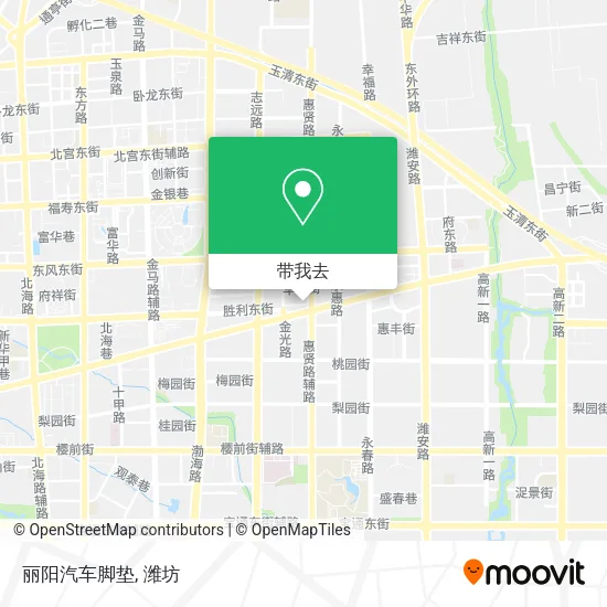 丽阳汽车脚垫地图