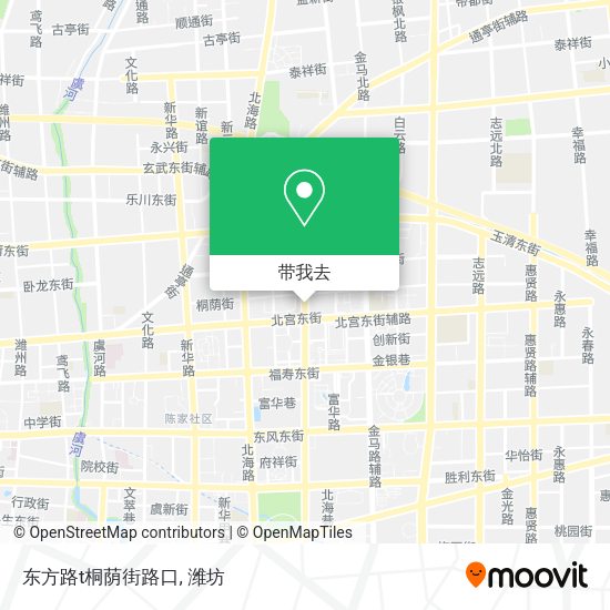 东方路t桐荫街路口地图