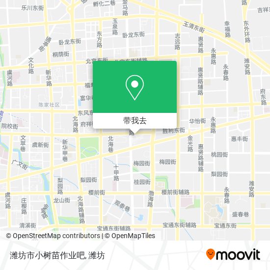 潍坊市小树苗作业吧地图