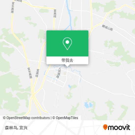 森林鸟地图