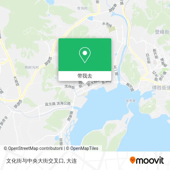 文化街与中央大街交叉口地图
