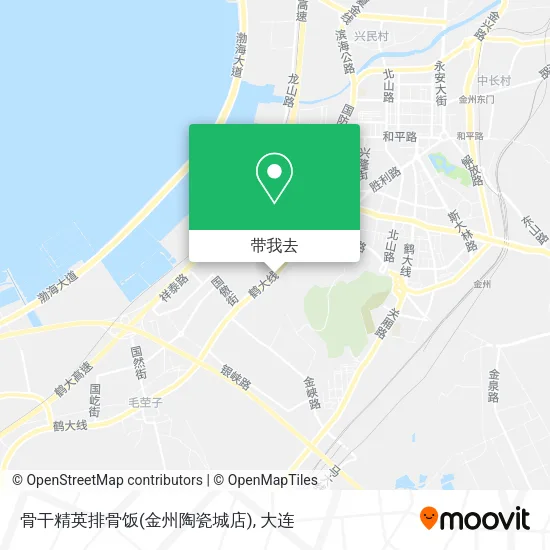 骨干精英排骨饭(金州陶瓷城店)地图