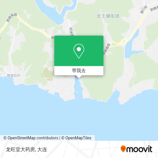 龙旺堂大药房地图