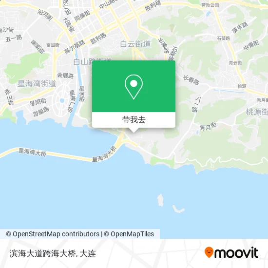 滨海大道跨海大桥地图