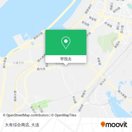 大有综合商店地图