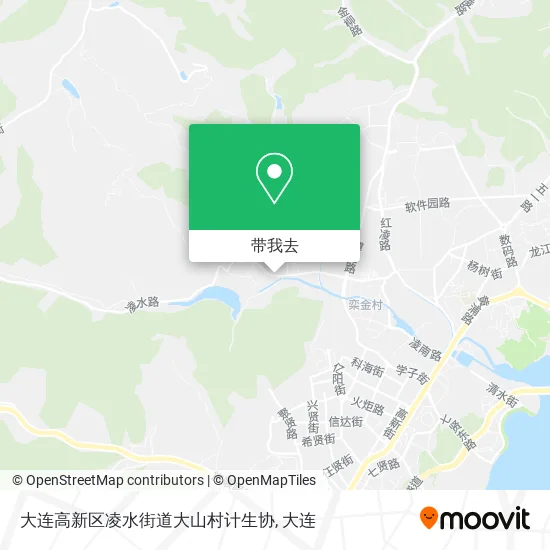 大连高新区凌水街道大山村计生协地图