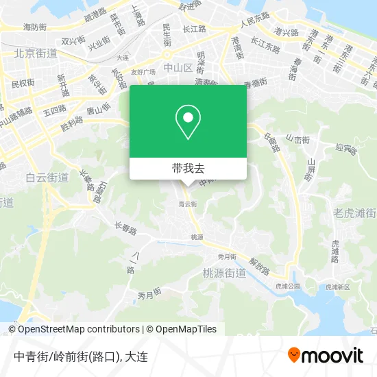 中青街/岭前街(路口)地图