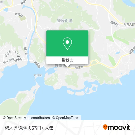 鹤大线/黄金街(路口)地图