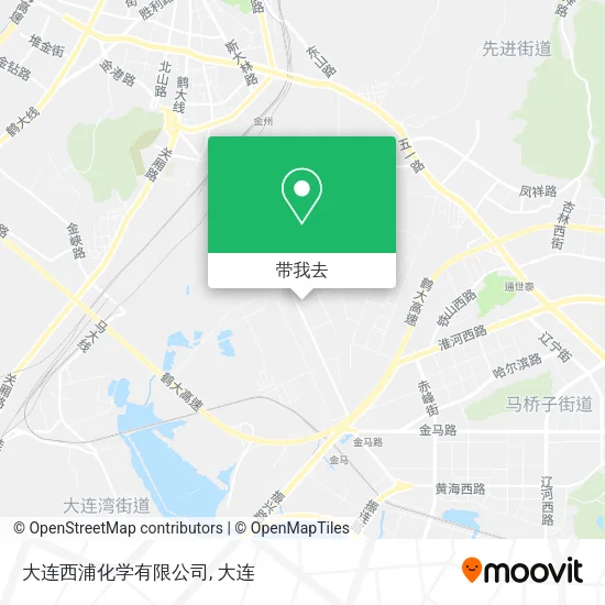 大连西浦化学有限公司地图