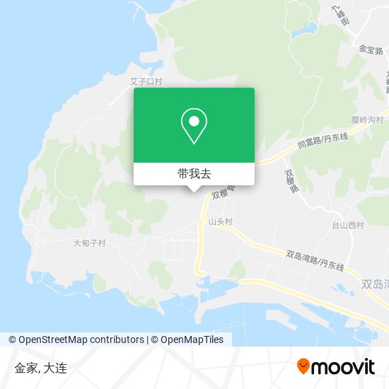 金家地图