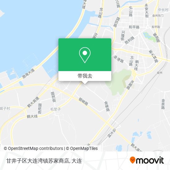 甘井子区大连湾镇苏家商店地图