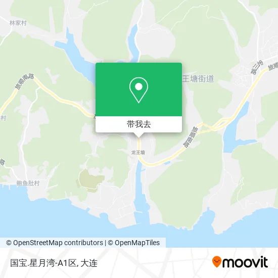 国宝.星月湾-A1区地图