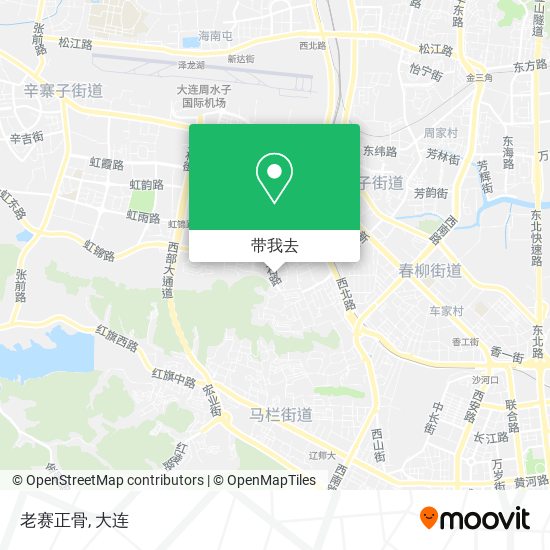 老赛正骨地图