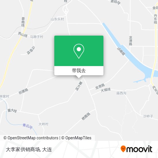 大李家供销商场地图
