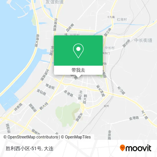 胜利西小区-51号地图