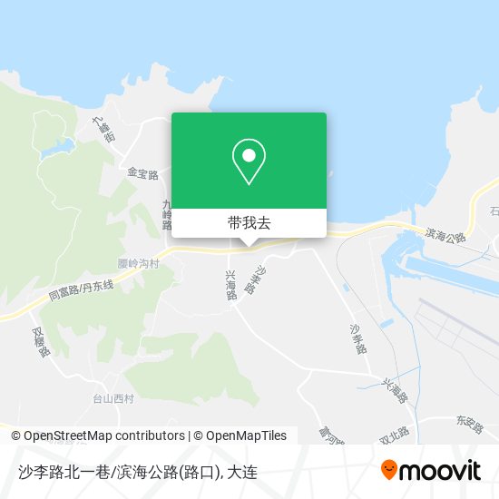 沙李路北一巷/滨海公路(路口)地图