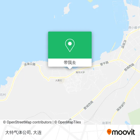 大特气体公司地图