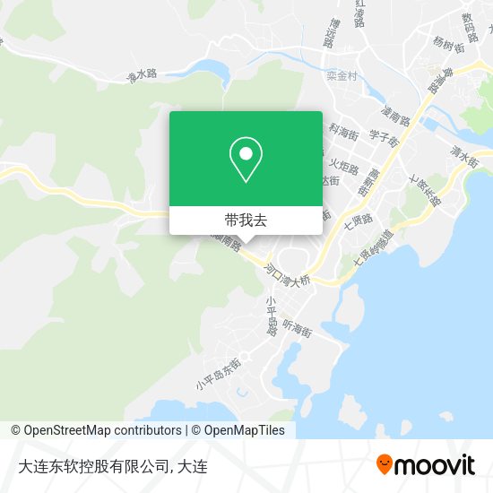 大连东软控股有限公司地图