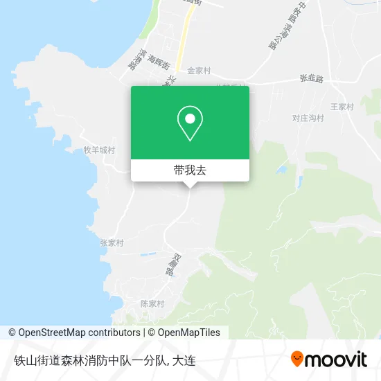 铁山街道森林消防中队一分队地图