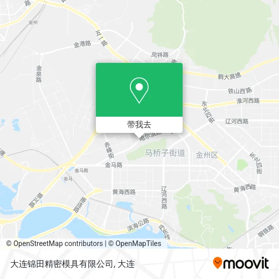 大连锦田精密模具有限公司地图