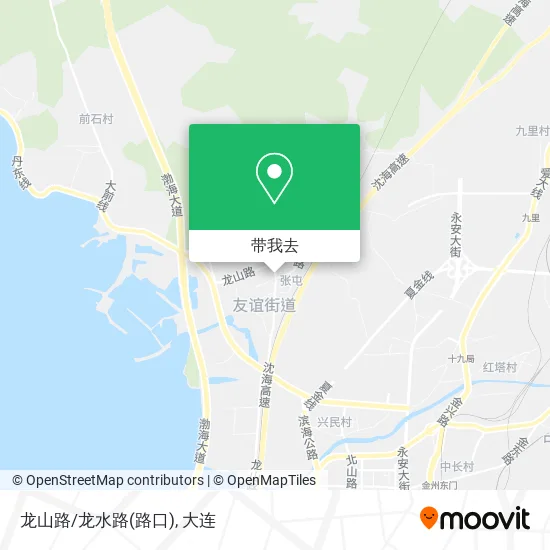 龙山路/龙水路(路口)地图