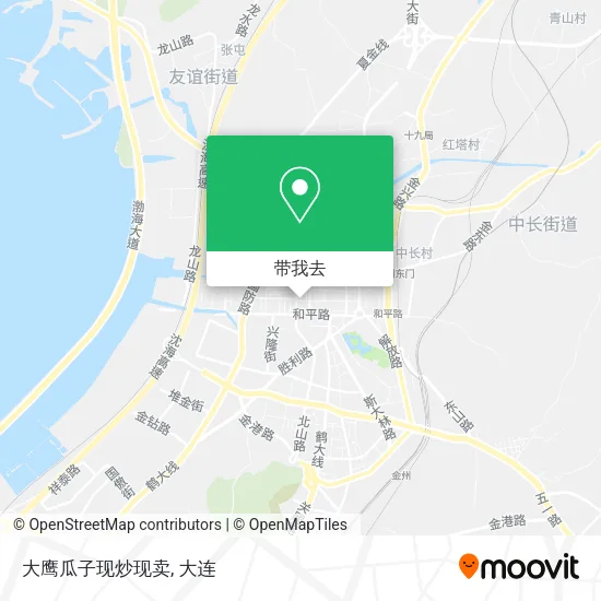 大鹰瓜子现炒现卖地图