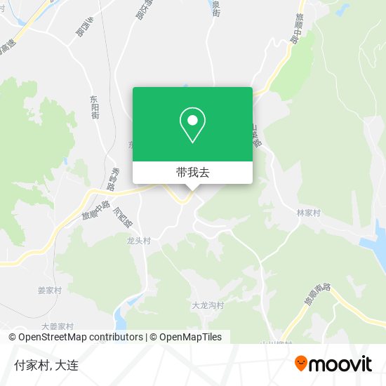 付家村地图