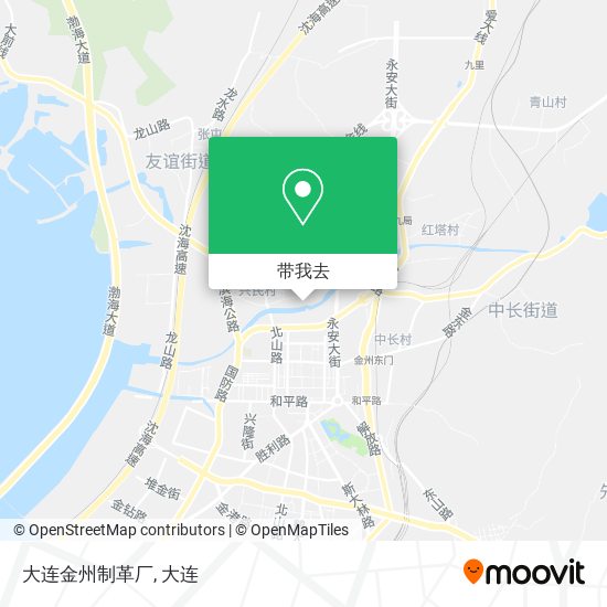 大连金州制革厂地图