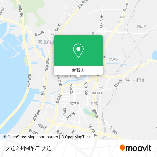 大连金州制革厂地图