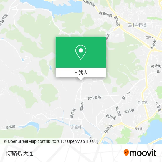 博智街地图