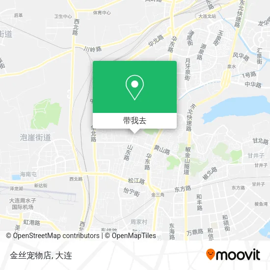 金丝宠物店地图