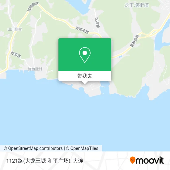 1121路(大龙王塘-和平广场)地图