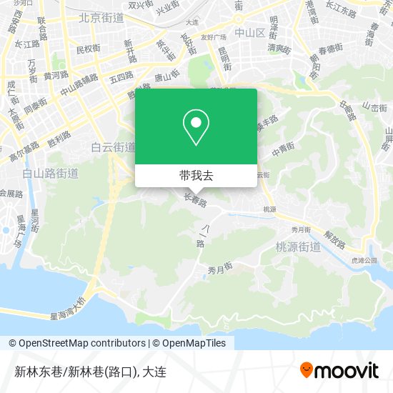 新林东巷/新林巷(路口)地图