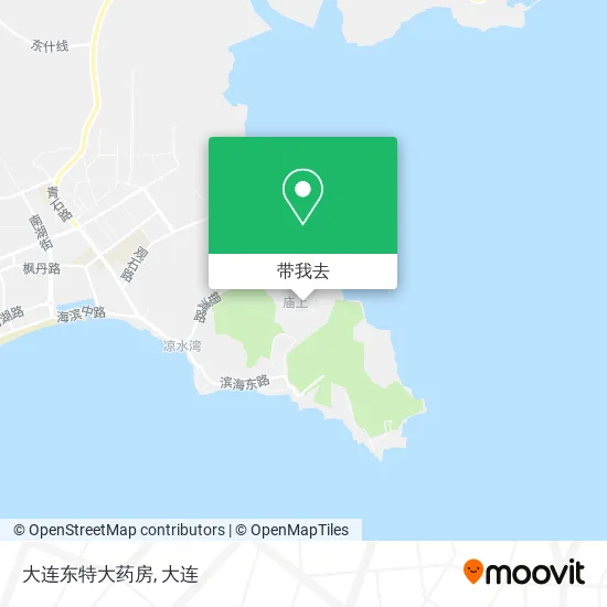 大连东特大药房地图
