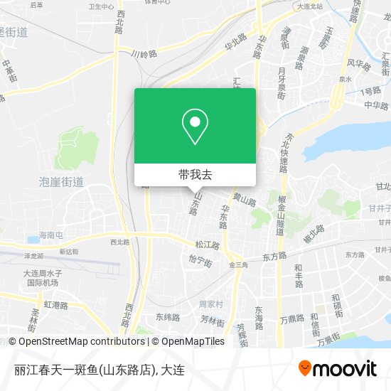 丽江春天一斑鱼(山东路店)地图