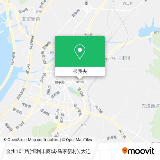 金州101路(恒利丰商城-马家新村)地图