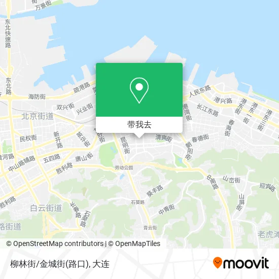 柳林街/金城街(路口)地图