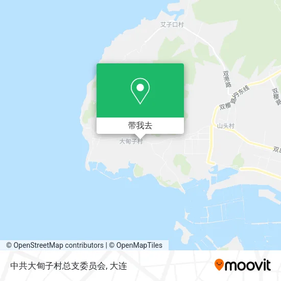 中共大甸子村总支委员会地图