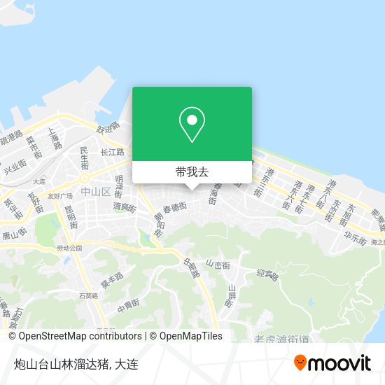 炮山台山林溜达猪地图
