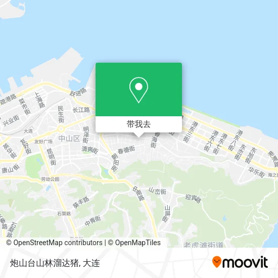 炮山台山林溜达猪地图