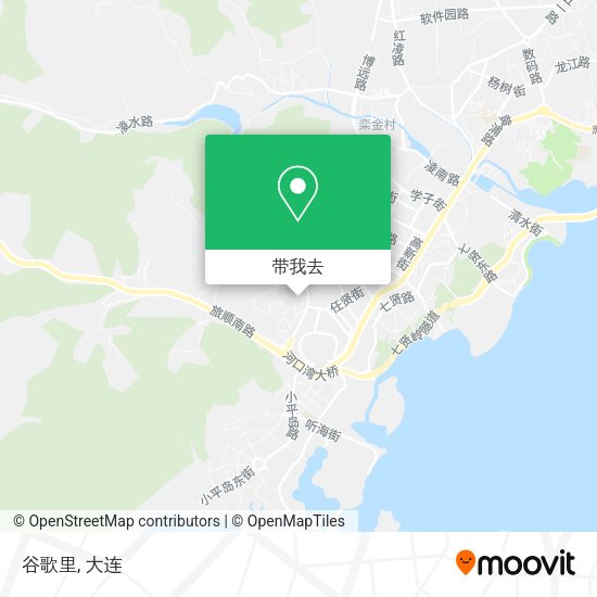 谷歌里地图