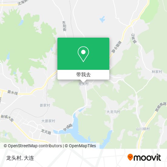 龙头村地图