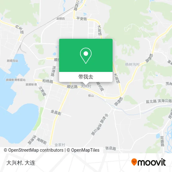大兴村地图